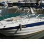 .Altres, CROWLINE 250 CR